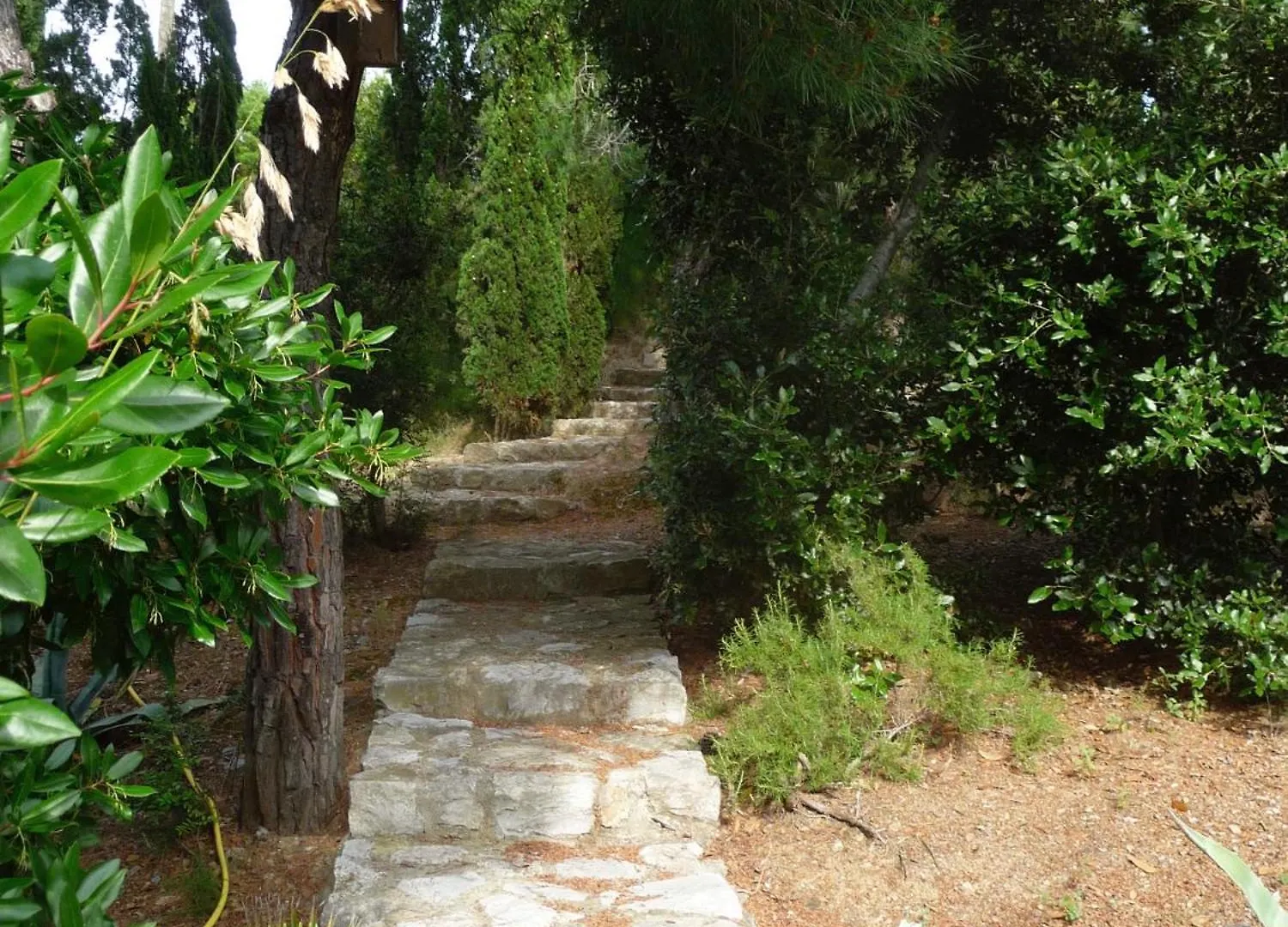 Villa Le Ginestre Di Mare Capoliveri